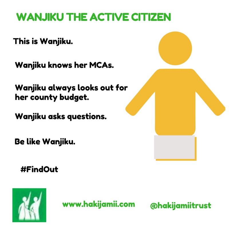 active citizen, budgets, MCAs, counties