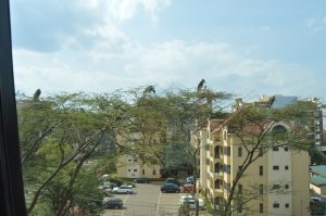 Housing in Nairobi City 