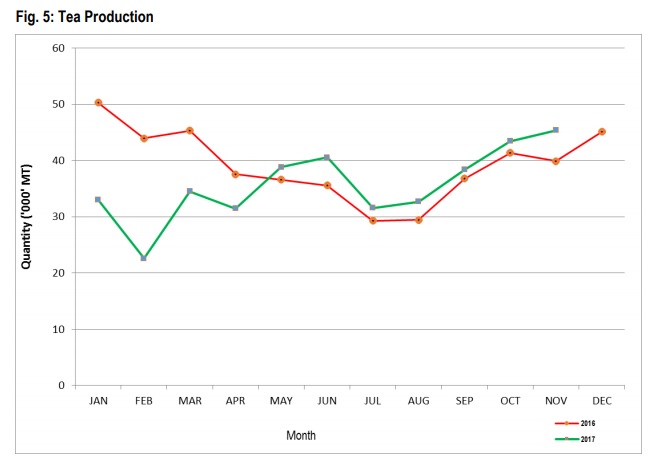 Tea Production in Kenya