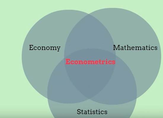 Definition of econometrics 
