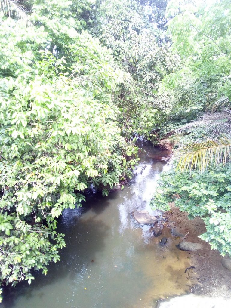 Mkurumudzi river in Kwale County.  