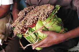 Miraa Cess is a gold mine for Wajir County