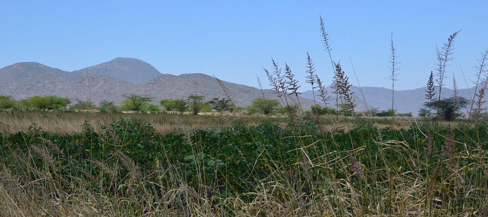 Isiolo County did not maintain an updated fixed assets register as at 30 June 2016