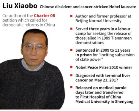 Liu Xiaobo, Nobel laureate and political prisoner died in Custody