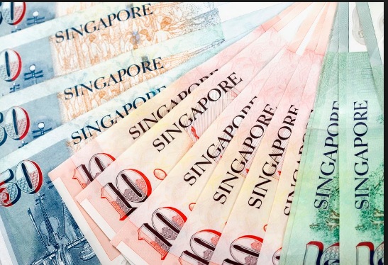  Singapore Government to Pay Bonus to All Adults After Surplus Budget