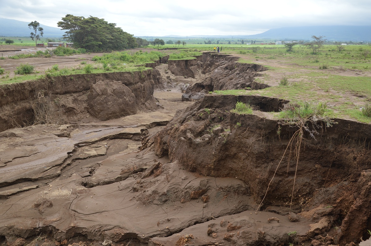 Photo2: Soil erosion has helped in the process of filling the gap left by the geological activities but it seems there is a lot of work to be done. 