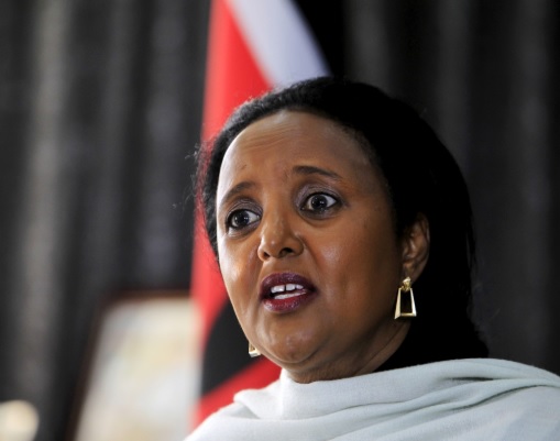 Image result for amina mohamed