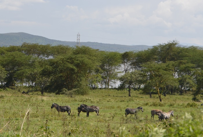 Devolution Committee recommends Nakuru to be elevated to City Status