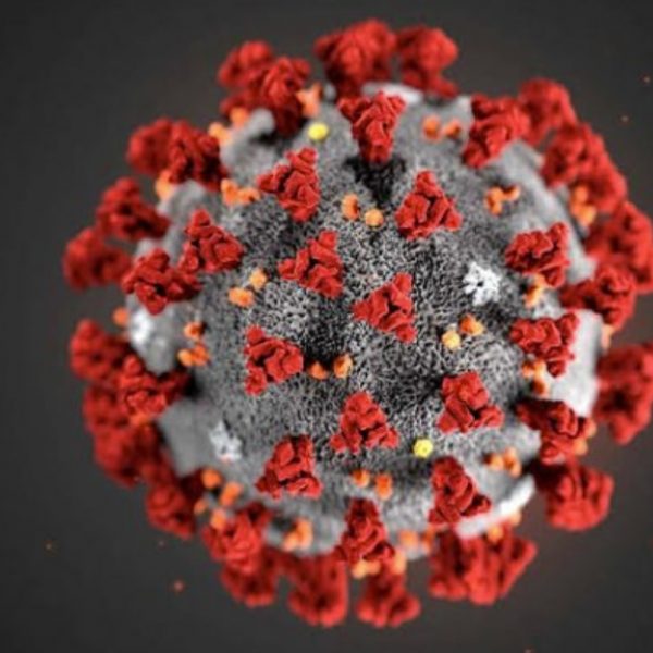 South Africa reports record single-day high of coronavirus deaths