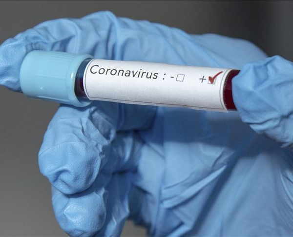 Coronavirus cases in South Africa have surpassed the 600,000 mark