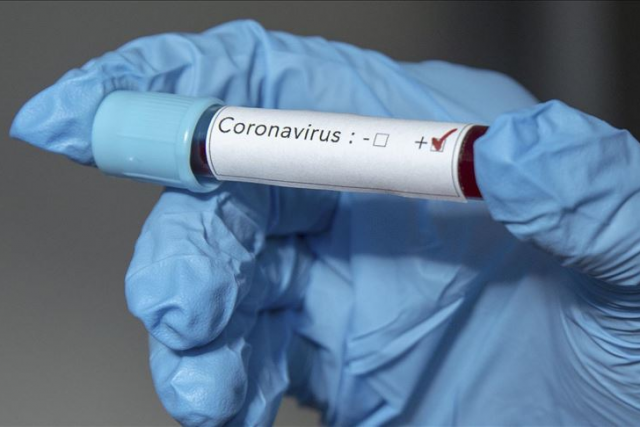 Coronavirus cases in South Africa have surpassed the 600,000 mark