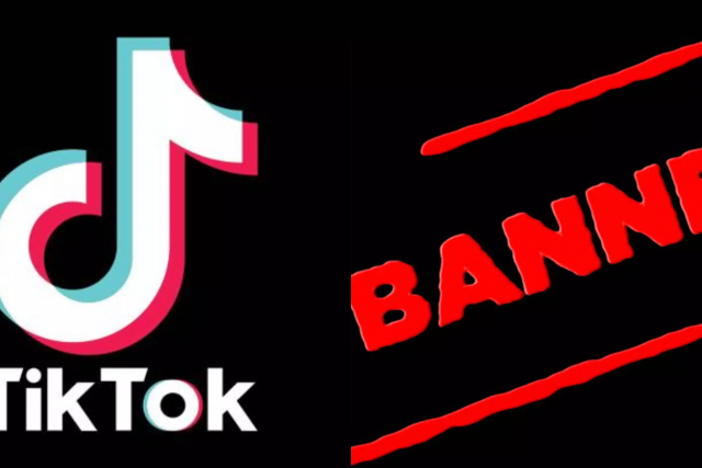 Why TikTok was banned in India