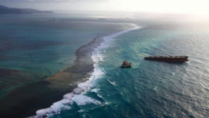 The Japanese ship MV Wakashio struck a coral reef near a sanctuary for rare wildlife on 25 July. PHOTO CREDIT: Reuters