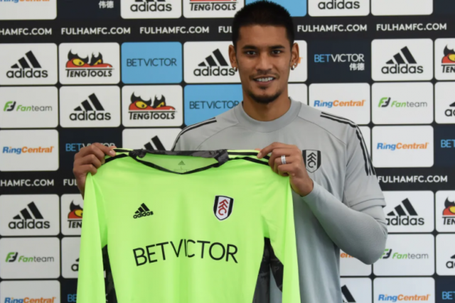 Fulham sign Alphonse Areola on loan from PSG