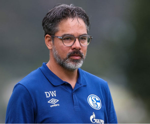 Schalke 04 sack head coach David Wagner