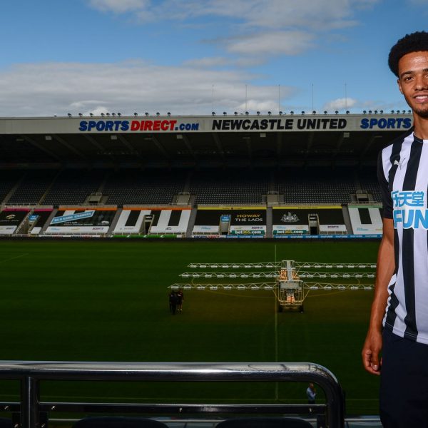 Newcastle sign defender Jamal Lewis from Norwich City