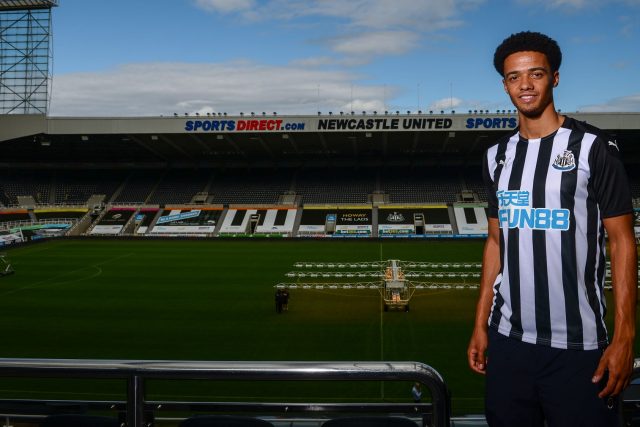 Newcastle sign defender Jamal Lewis from Norwich City