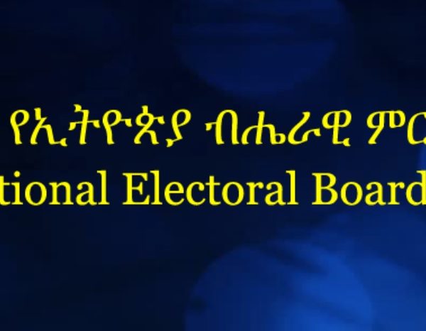 National Election Board of Ethiopia dismisses TPLF as political party