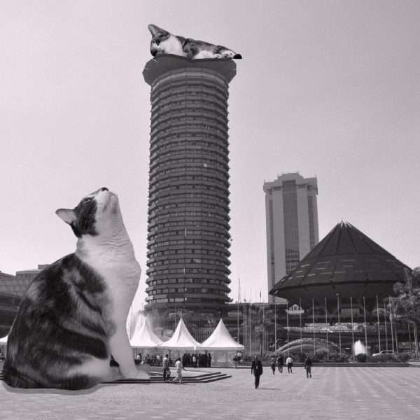 KICC features on cats of brutalism