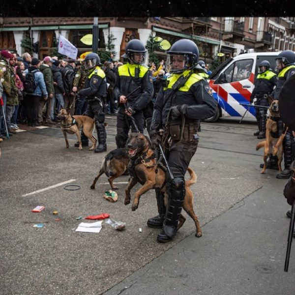 Police in Amsterdam control anti-lock-down protests using dogs and batons