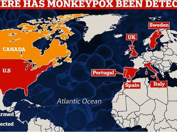 WHO advises men who have sex with men to reduce the number of partners to limit  exposure to monkeypox