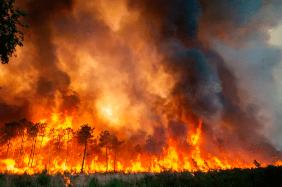 High temperatures in Britain cause risk on lives and infrastructure.