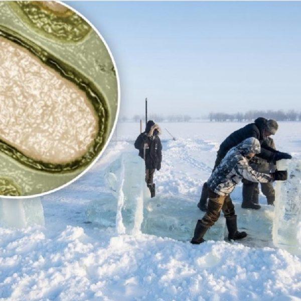 French Scientists revive ‘Zombie virus’ trapped for almost 50,000 years in Russia