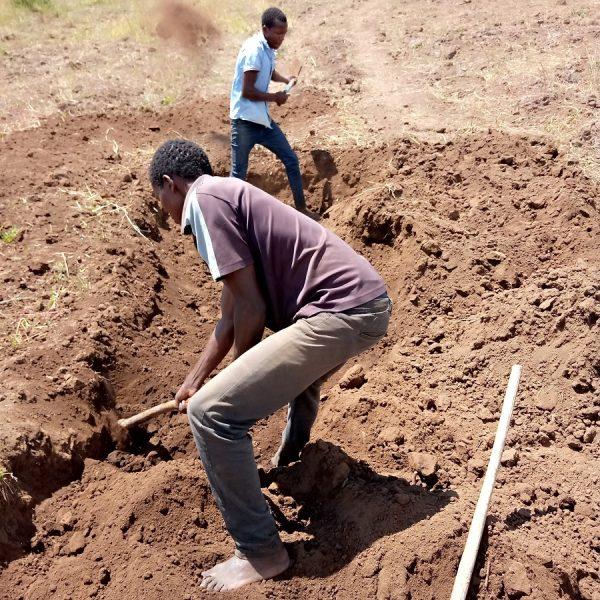 Importance of water pans at Kongasis in Nakuru County