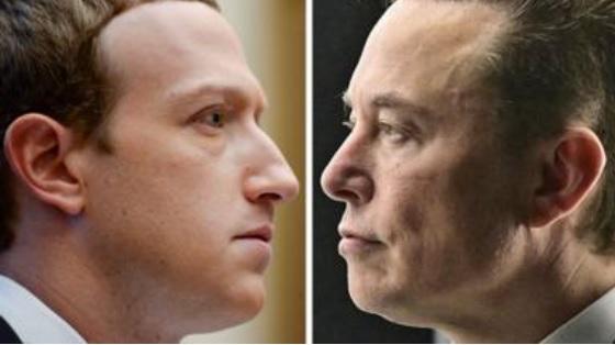 Musk and Zuckerberg agree to a cage fight