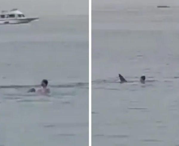 Shark attacks man off the coast of Egypt