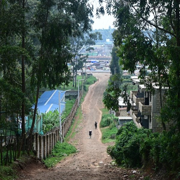 Nyambari Uplands